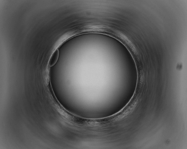 X0000100871370200806201230