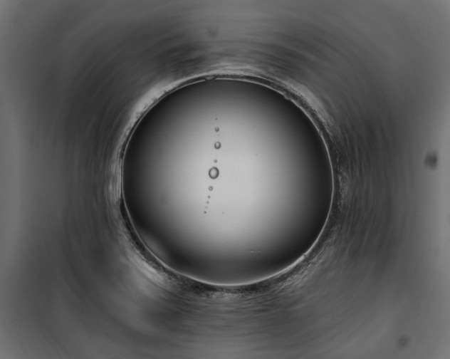X0000100871371200806201230