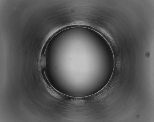 X0000100871372200806201230