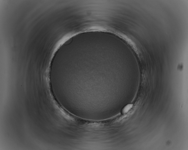 X0000100871373200806201230