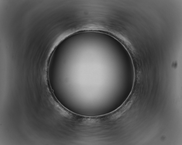 X0000100871374200806201230