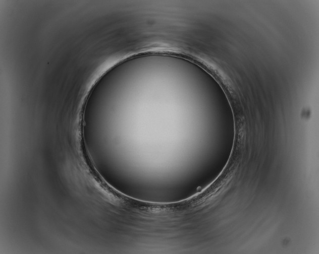 X0000100871375200806201230