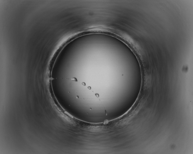 X0000100871376200806201230