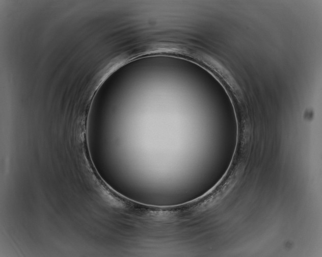X0000100871377200806201230