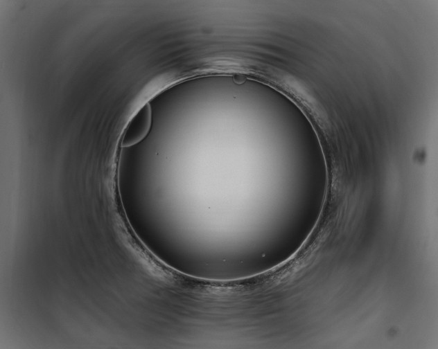 X0000100871378200806201230