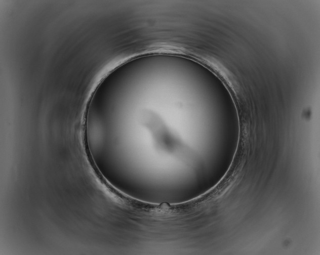 X0000100871379200806201230