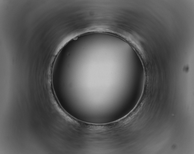 X0000100871382200806201230