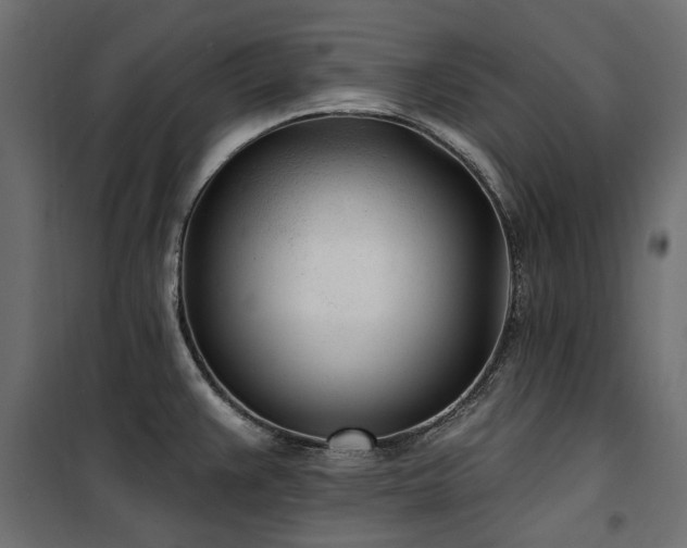 X0000100871383200806201230