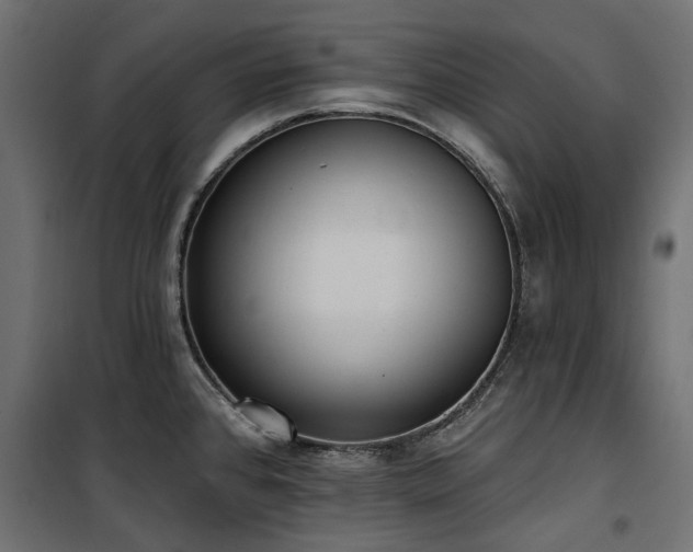 X0000100871384200806201230