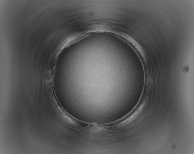X0000100871385200806201230