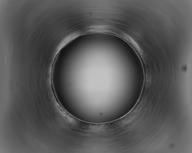 X0000100871386200806201230