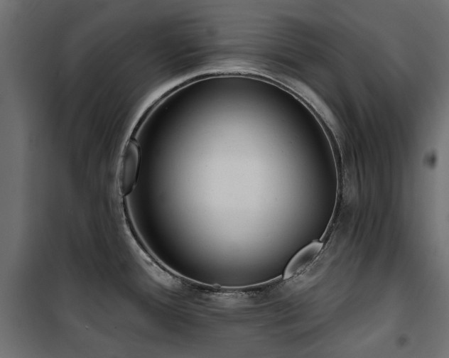X0000100871388200806201230