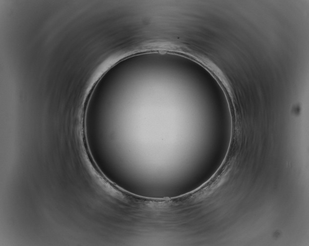 X0000100871389200806201230