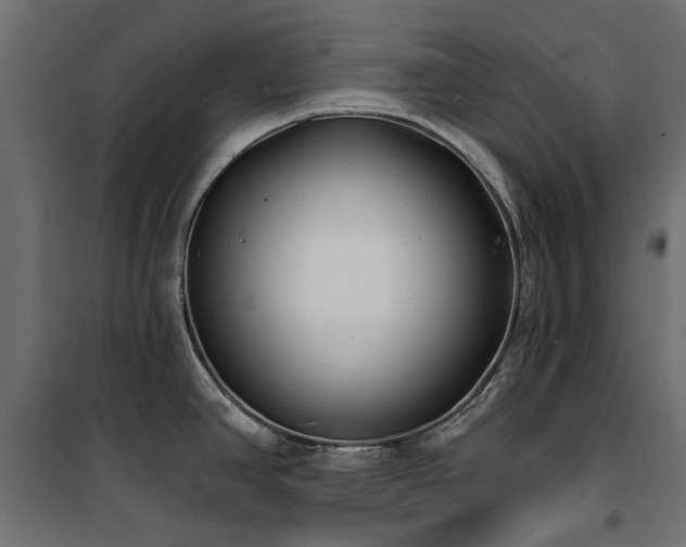 X0000100871390200806201230