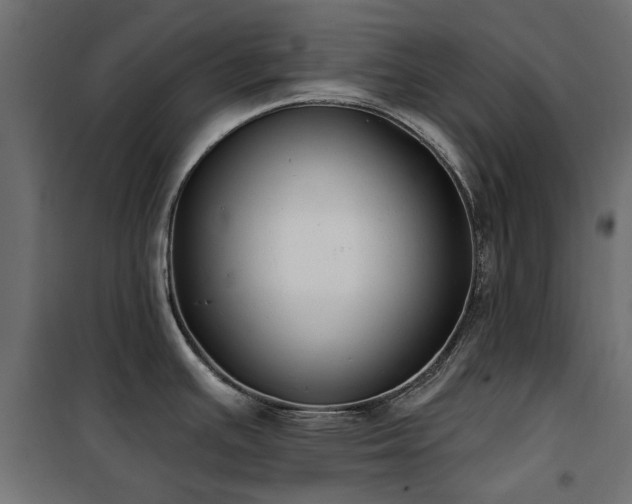 X0000100871391200806201230