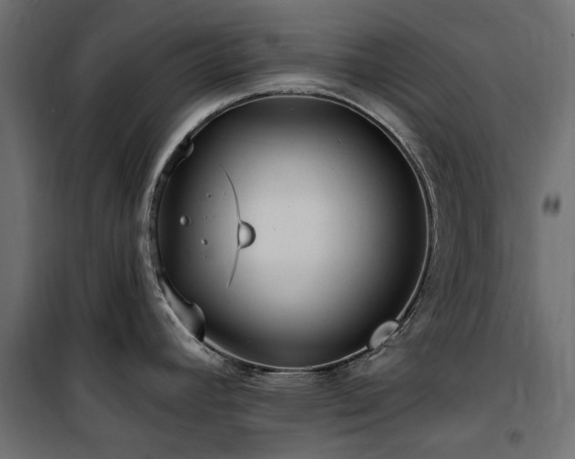 X0000100871392200806201230