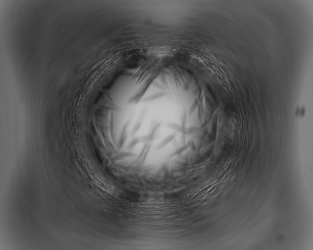 X0000100871393200806201229