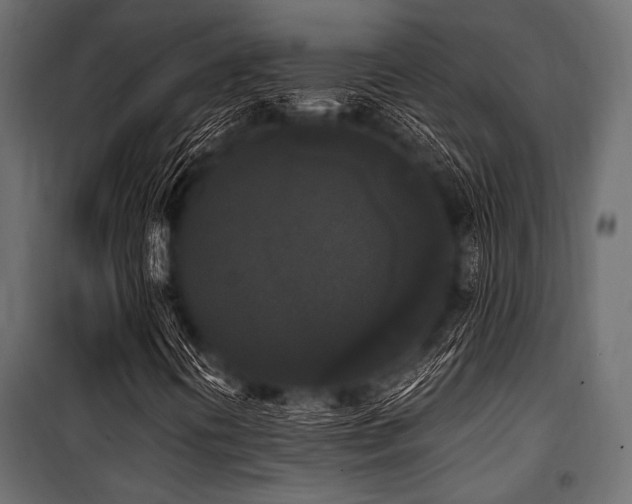 X0000100871394200806201229