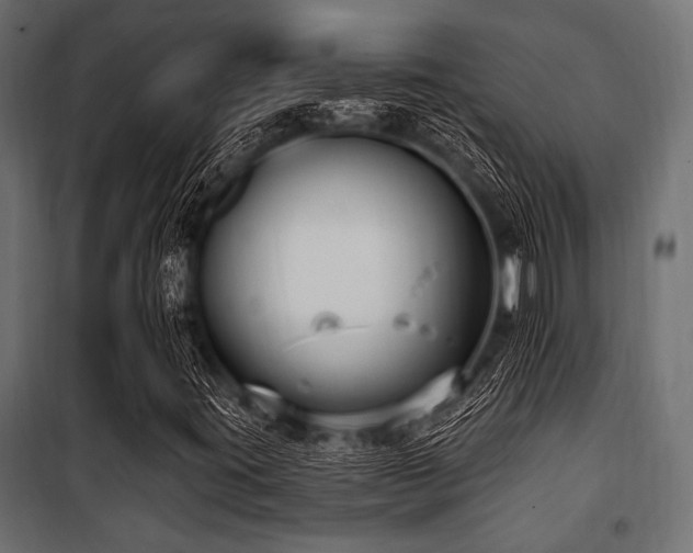 X0000100871395200806201229