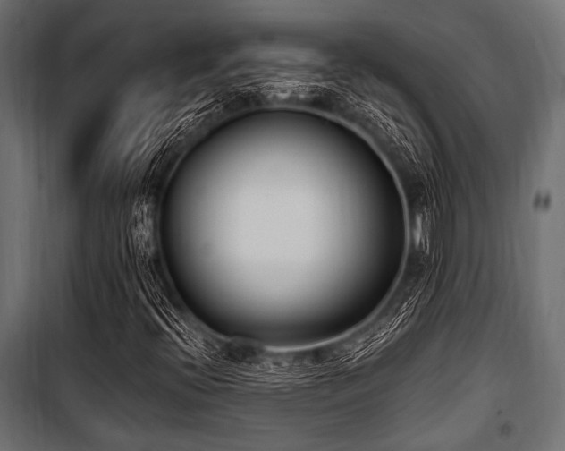 X0000100871396200806201229