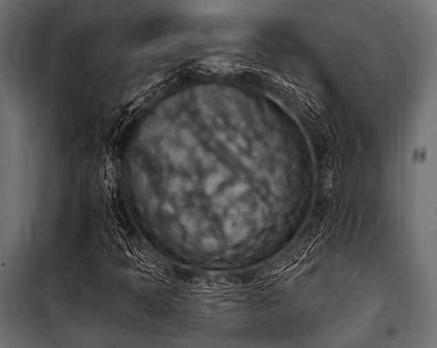 X0000100871397200806201229