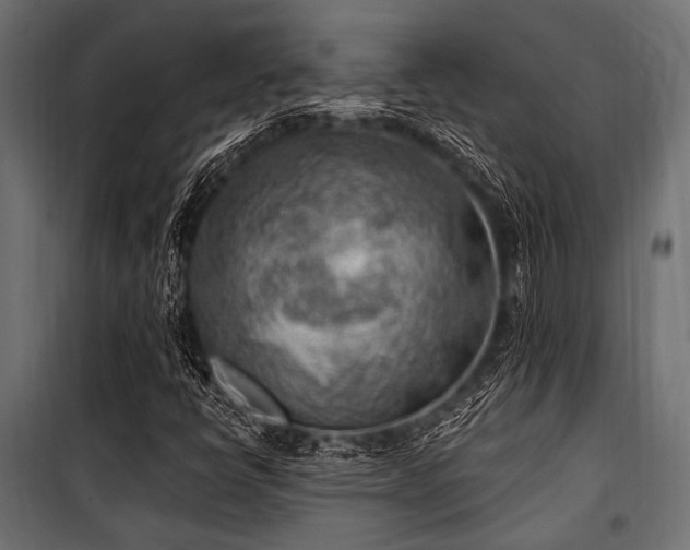 X0000100871398200806201229