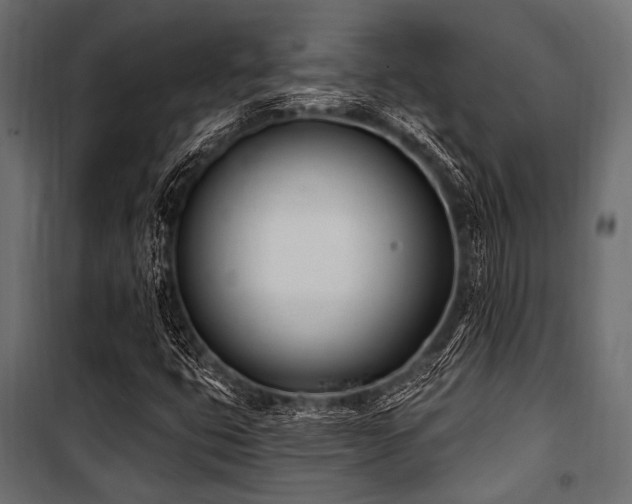X0000100871399200806201229