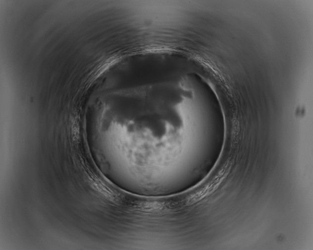 X0000100871401200806201229