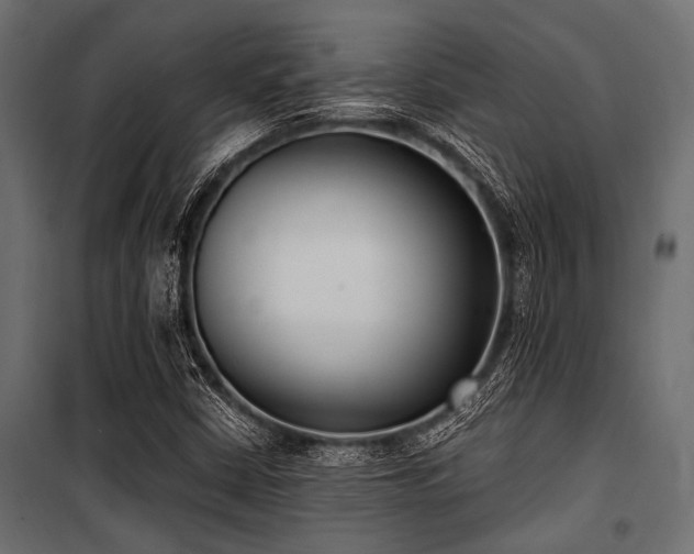 X0000100871402200806201229