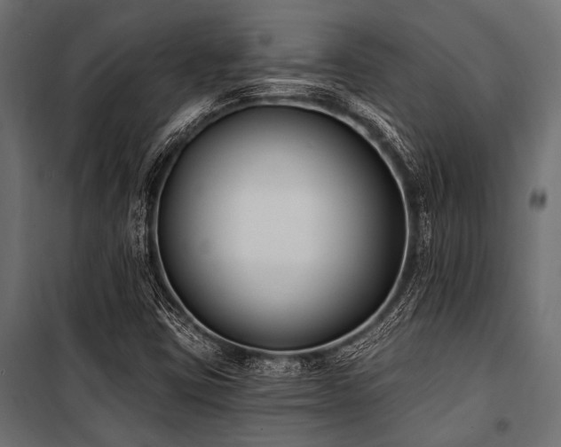 X0000100871403200806201229