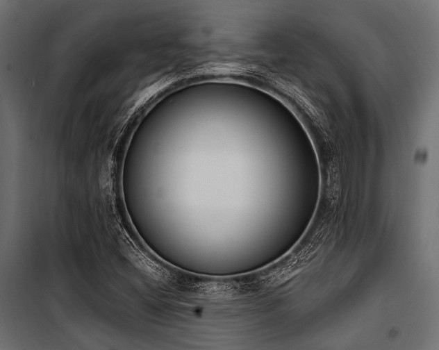 X0000100871404200806201229
