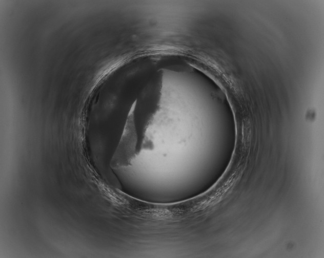 X0000100871405200806201229