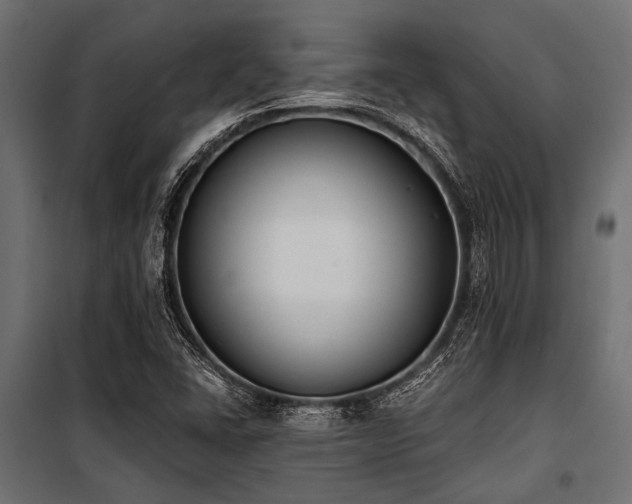 X0000100871406200806201229