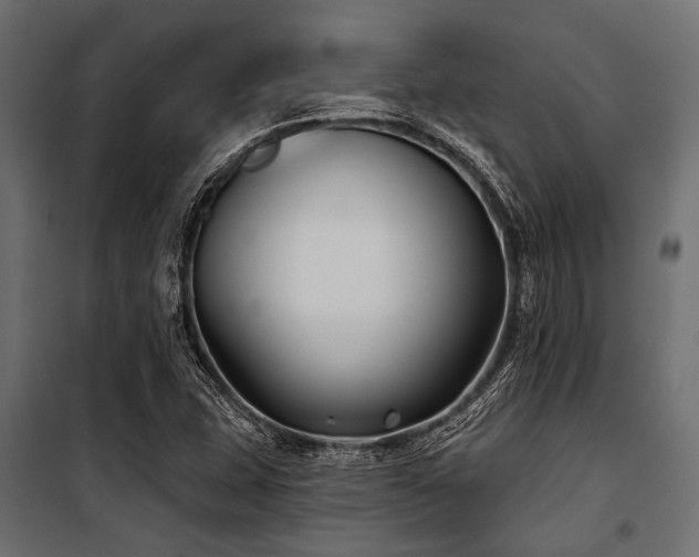 X0000100871407200806201229