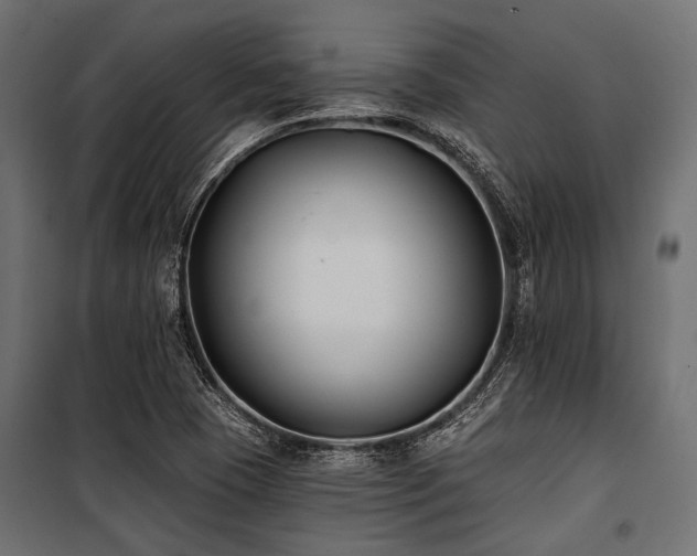 X0000100871409200806201229
