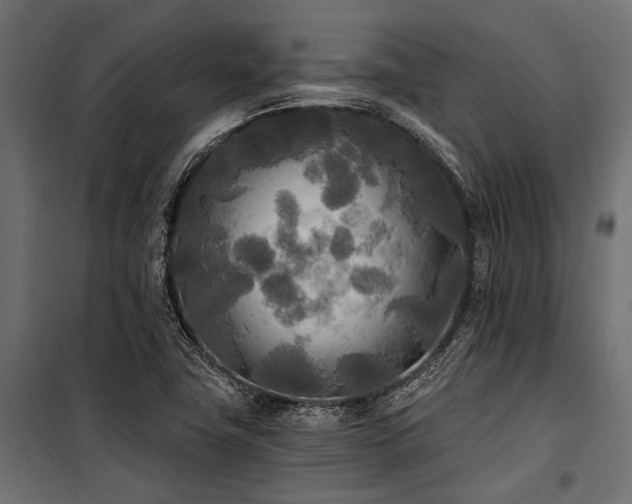 X0000100871411200806201229
