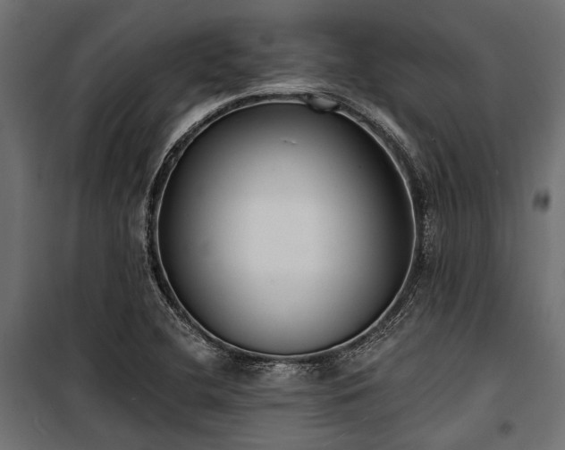X0000100871412200806201229