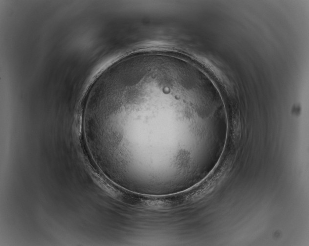 X0000100871413200806201230