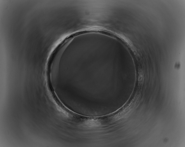X0000100871414200806201230