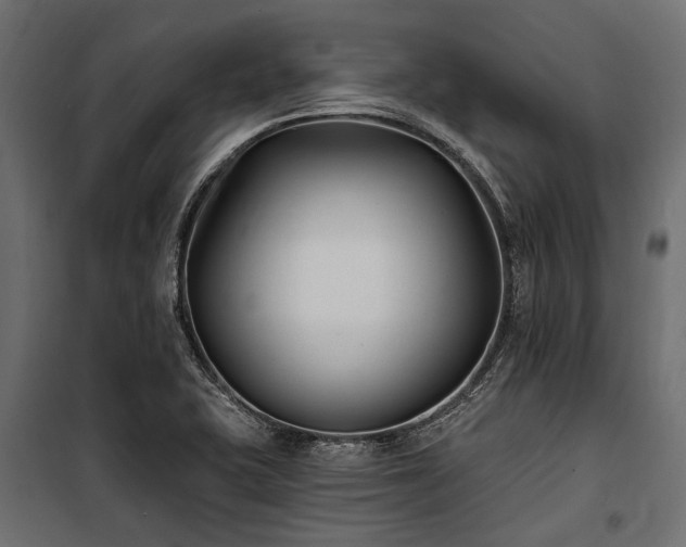 X0000100871415200806201230