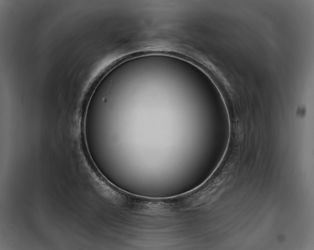 X0000100871416200806201230