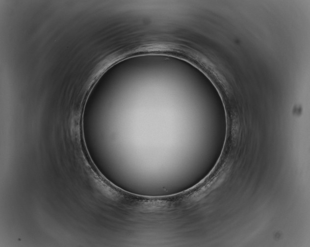 X0000100871417200806201230