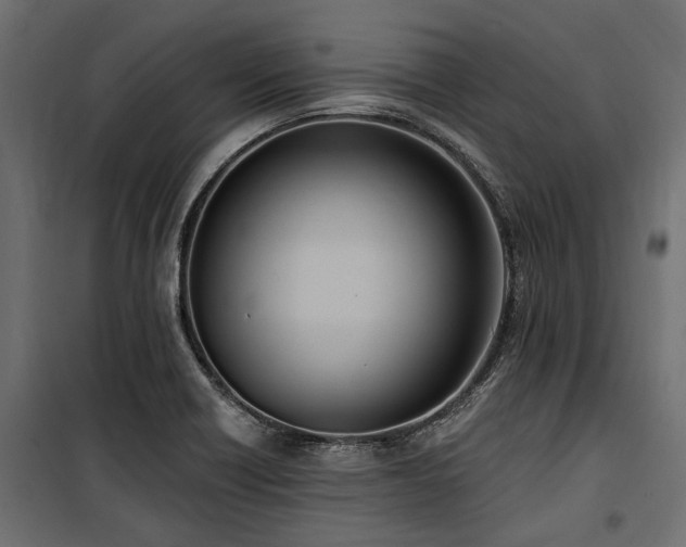 X0000100871418200806201230