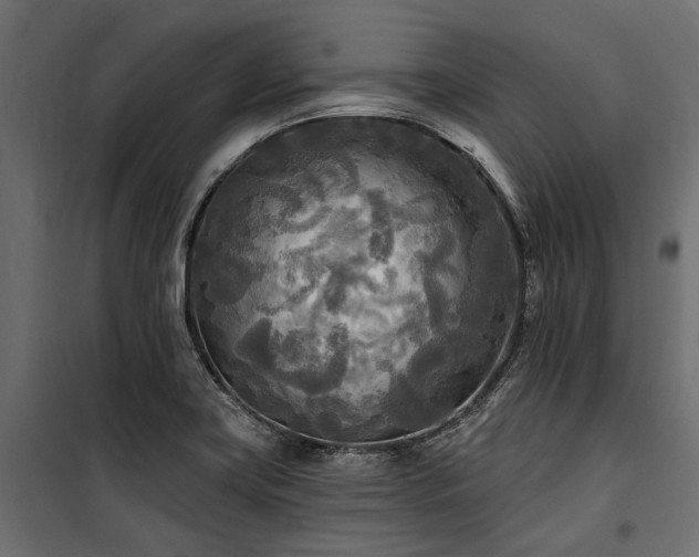 X0000100871419200806201230