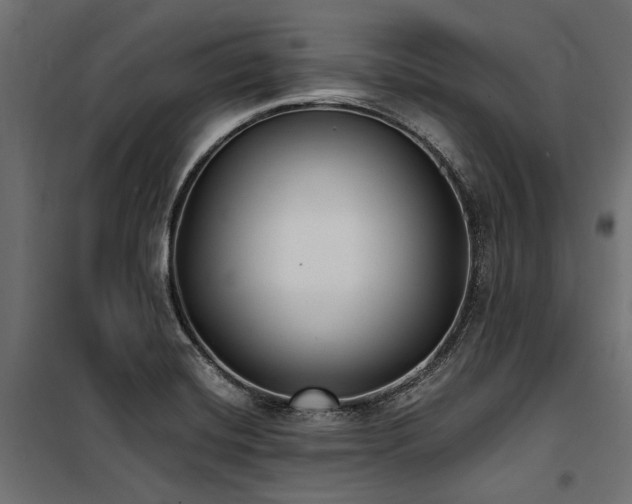 X0000100871420200806201230