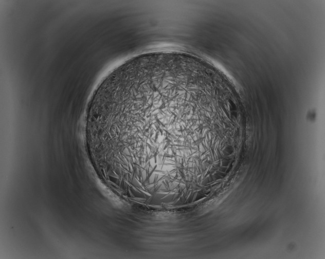 X0000100871421200806201230