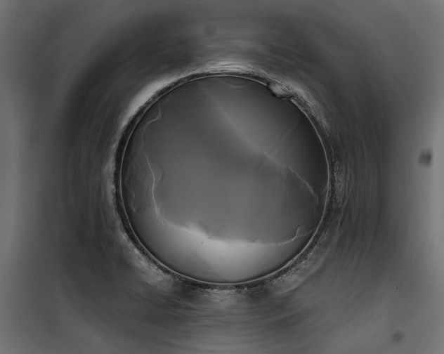 X0000100871422200806201230