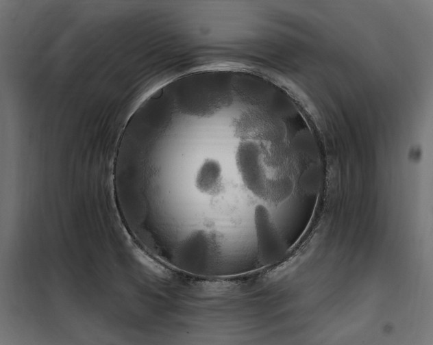 X0000100871425200806201230