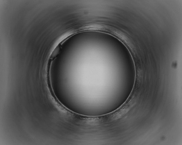 X0000100871426200806201230
