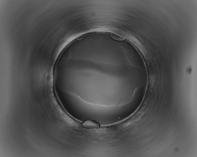 X0000100871428200806201230